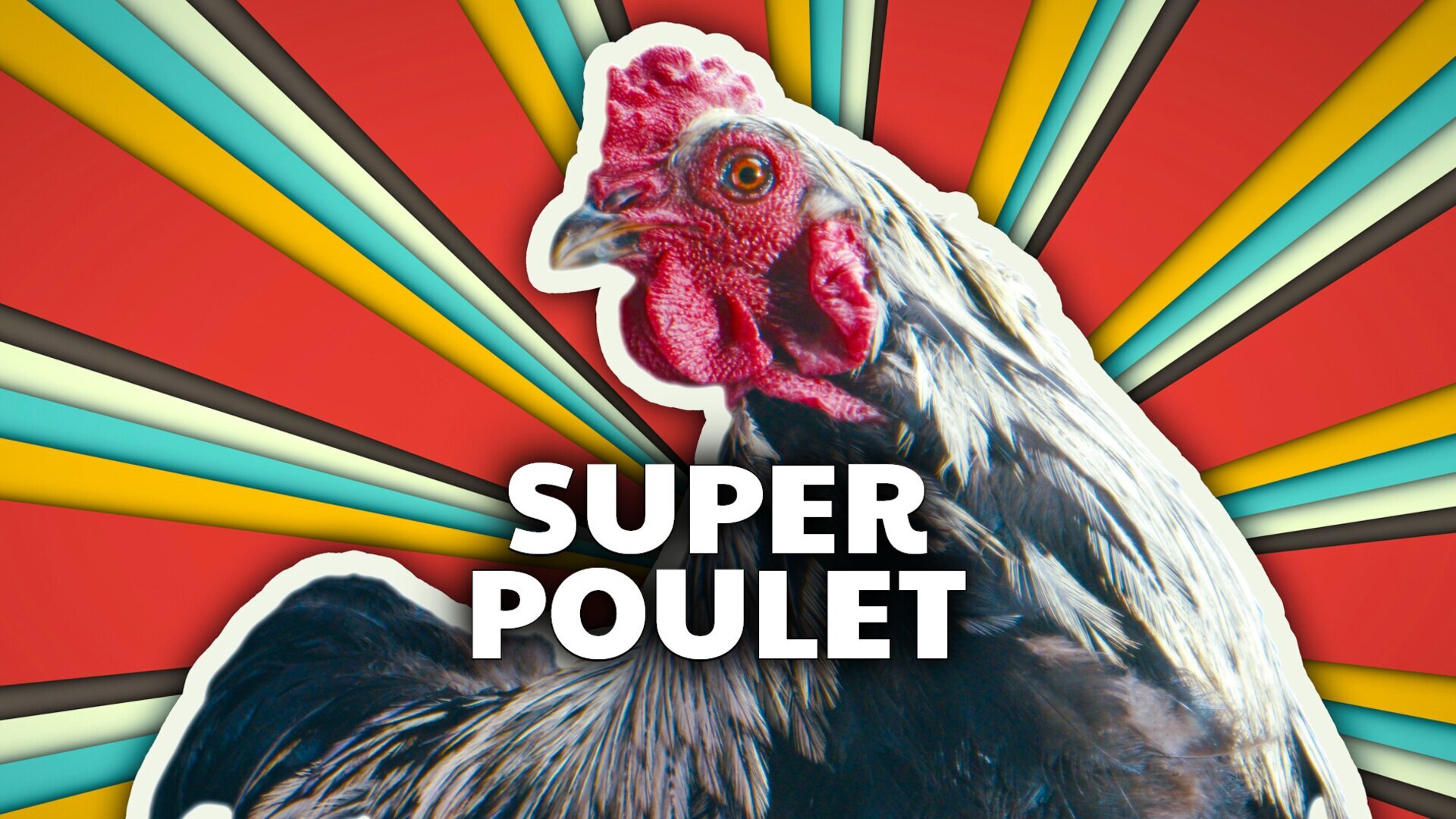 Super poulet