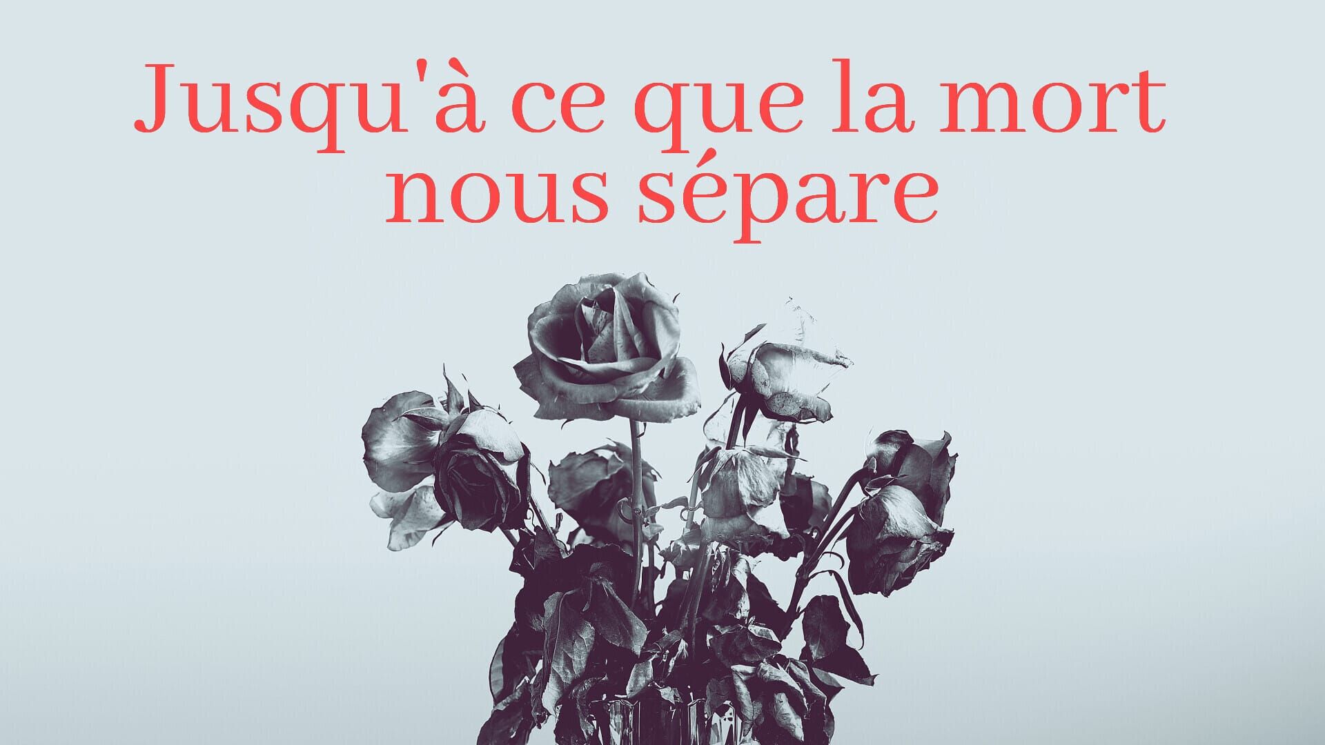 Ne tirez pas !