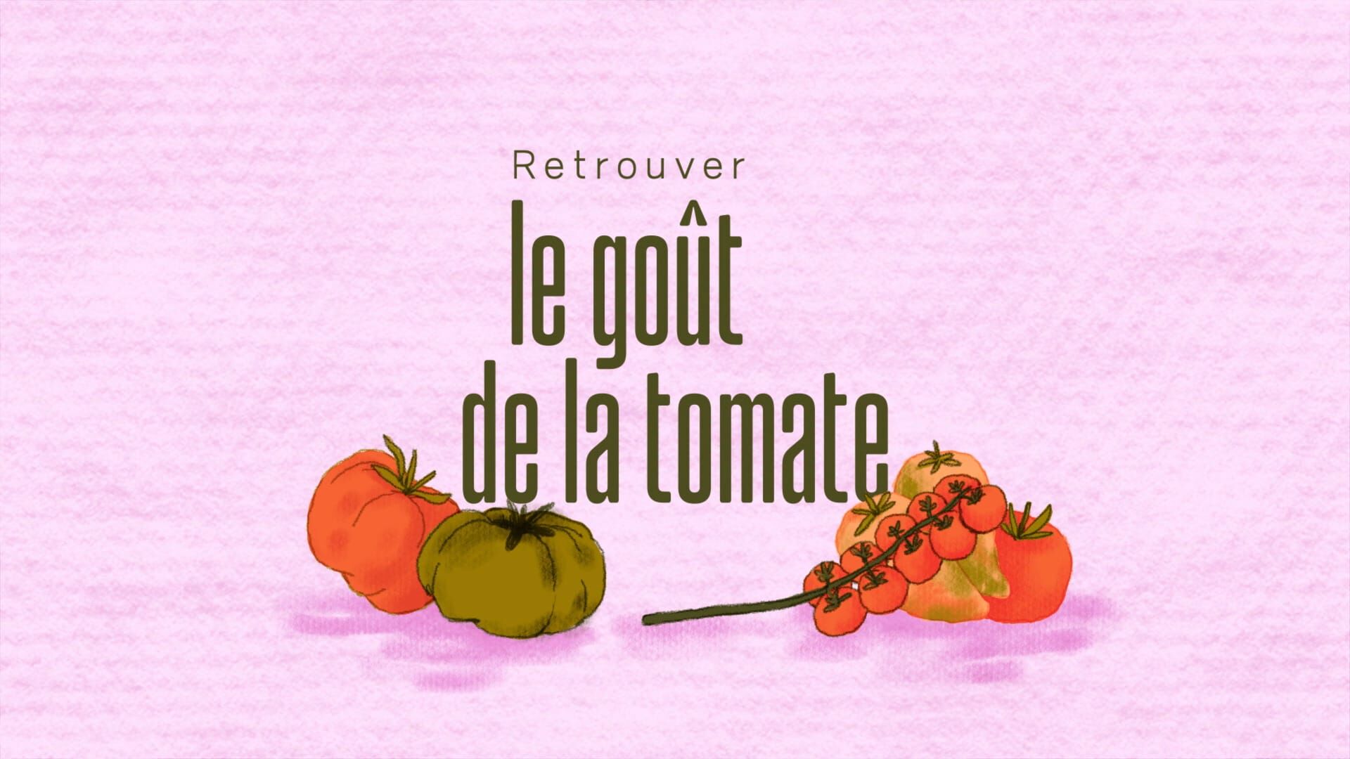 Retrouver le goût de la tomate