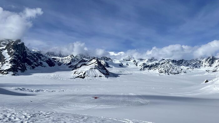 Alaska, la voltigeuse des glaces
