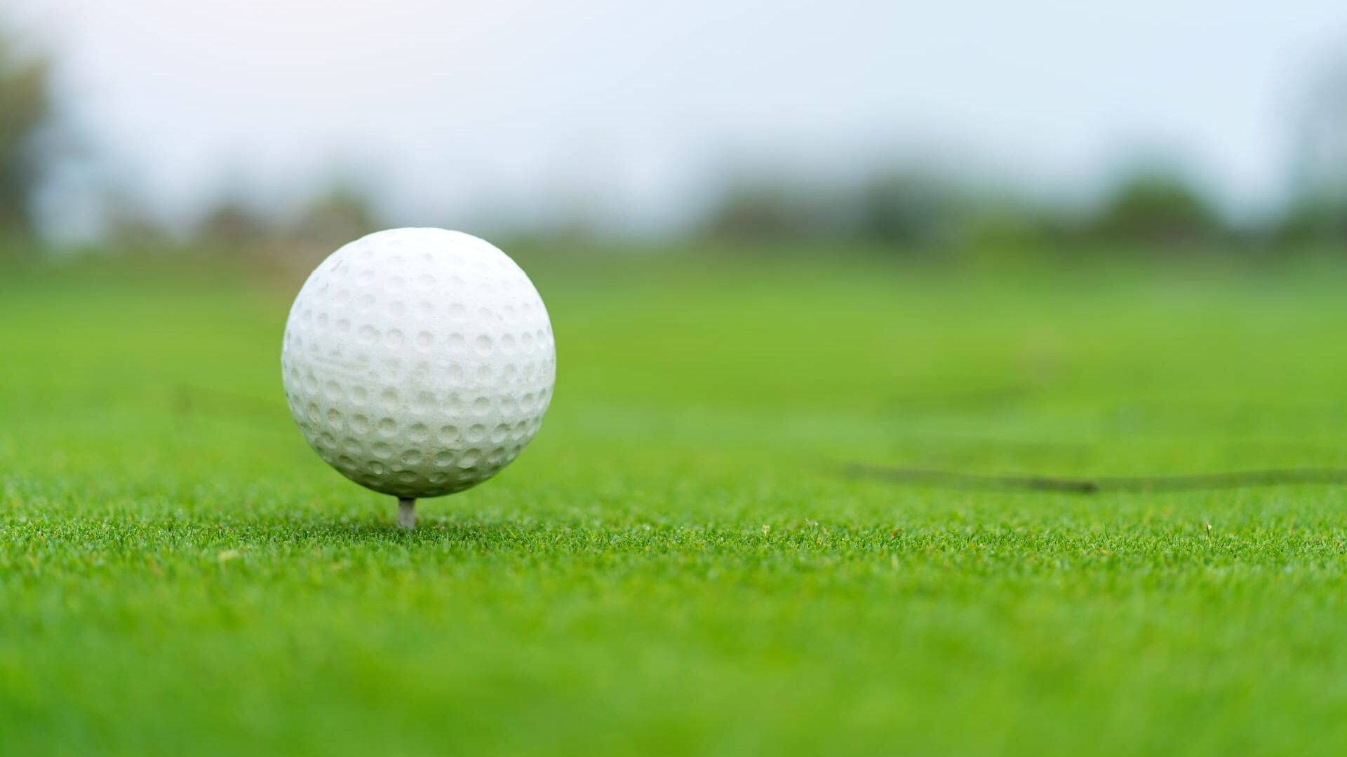 Golf : Championnat de Corée du Sud