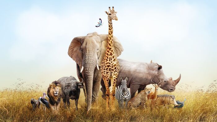 Des animaux et des hommes