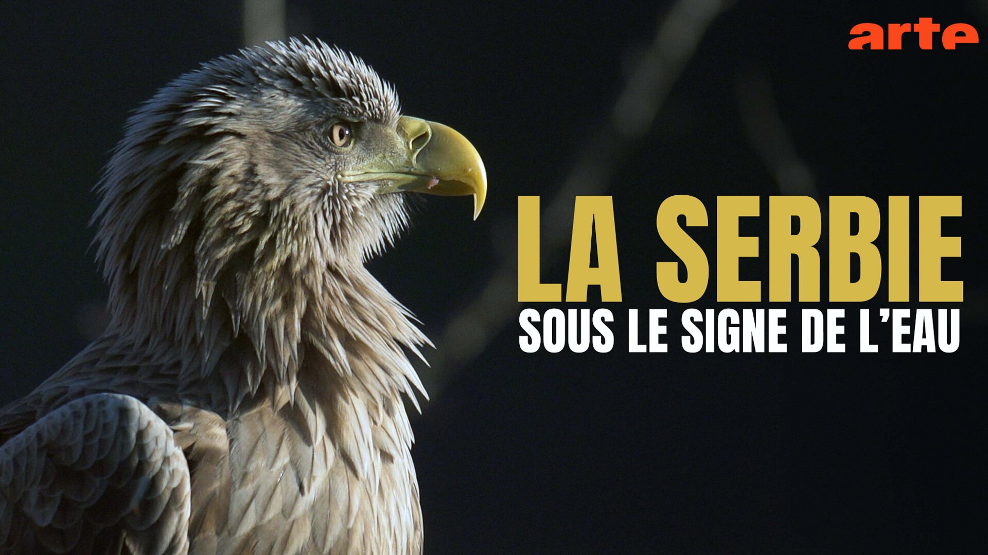 La Serbie, sous le signe de l'eau