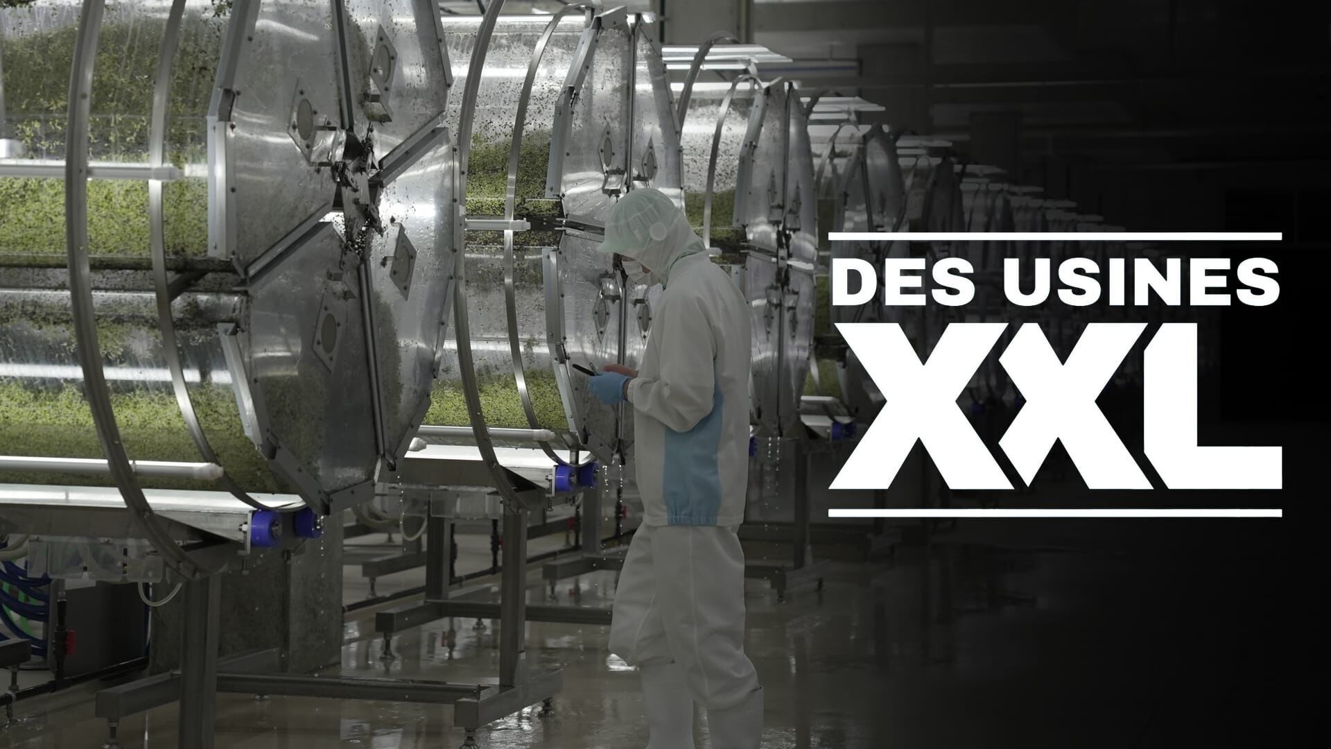 North Sails, Pez, Ulster Carpets, Narichan