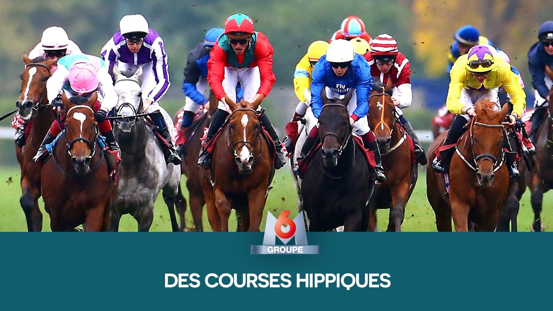 Hippisme : Prix de Diane