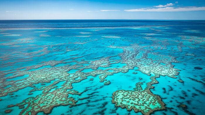 Fascinante barrière de corail