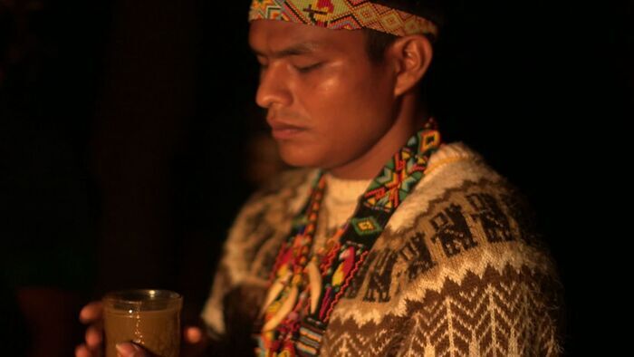 Colombie, la culture du yagé