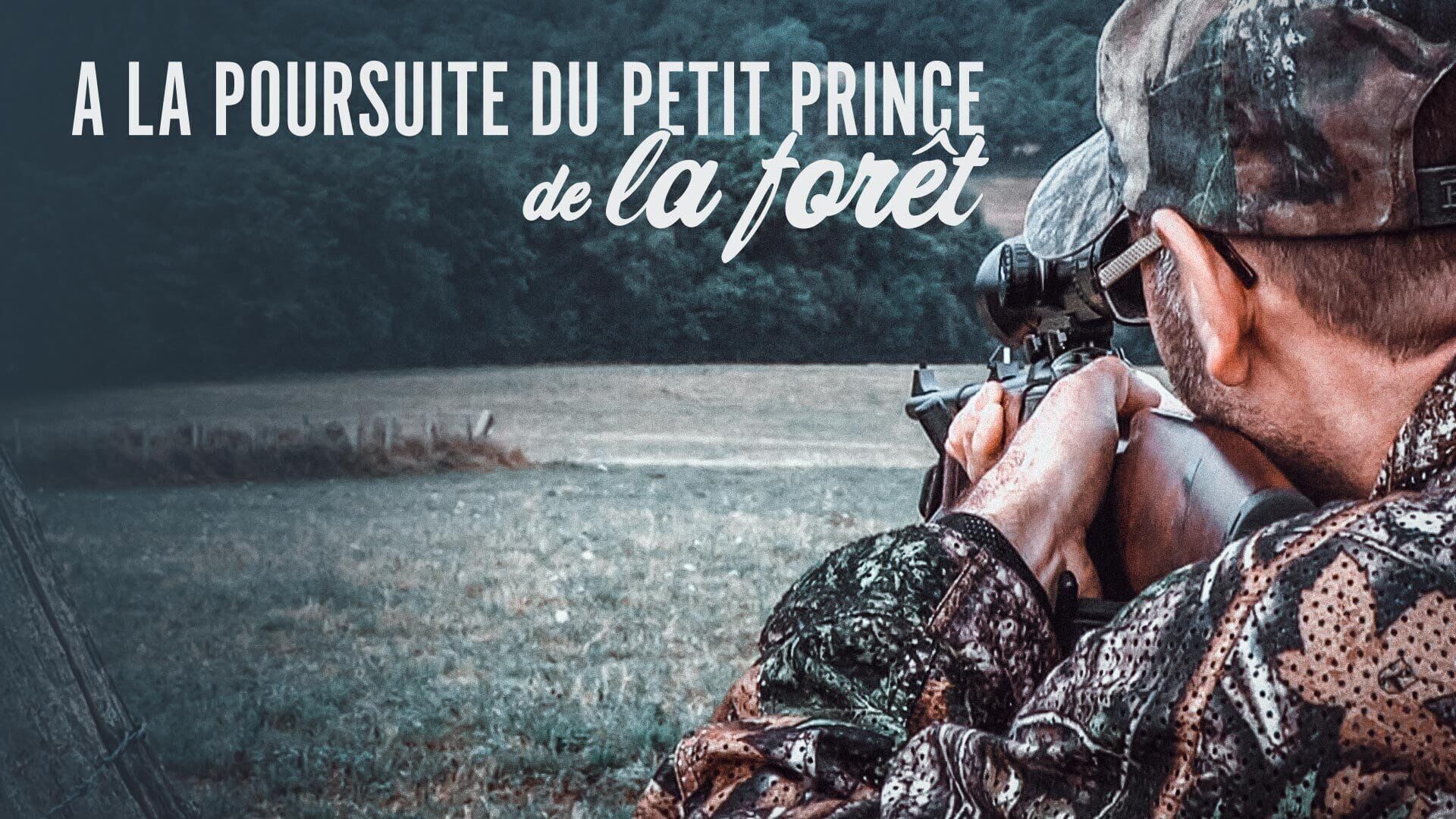 A la poursuite du petit prince de la forêt