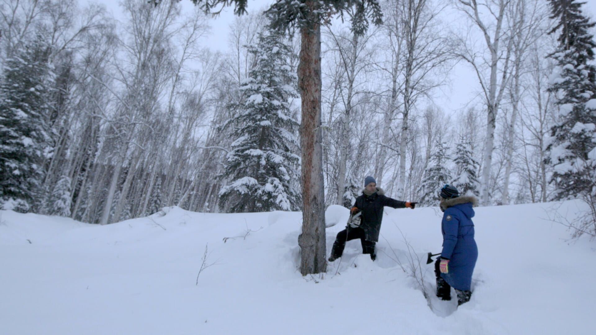 Piège en hiver