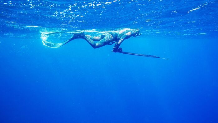 Amberjack