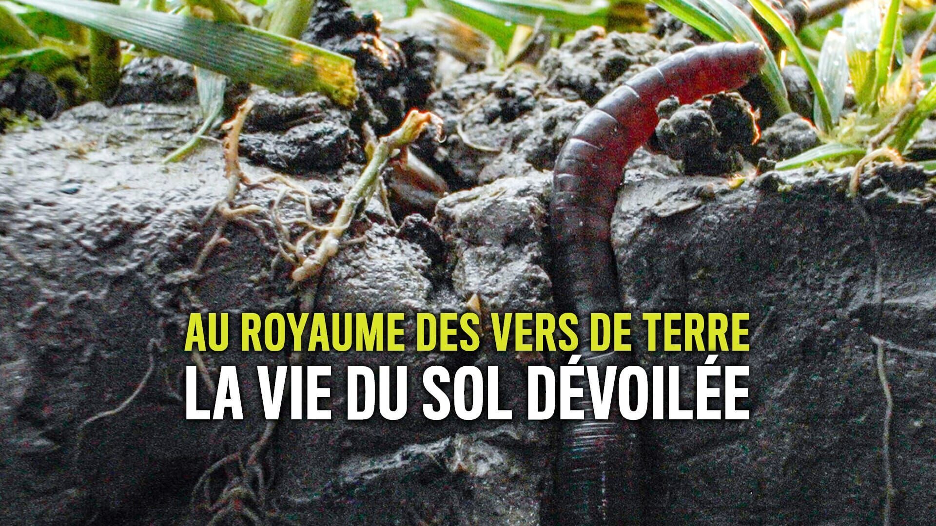 Au royaume des vers de terre - La vie du sol dévoilée
