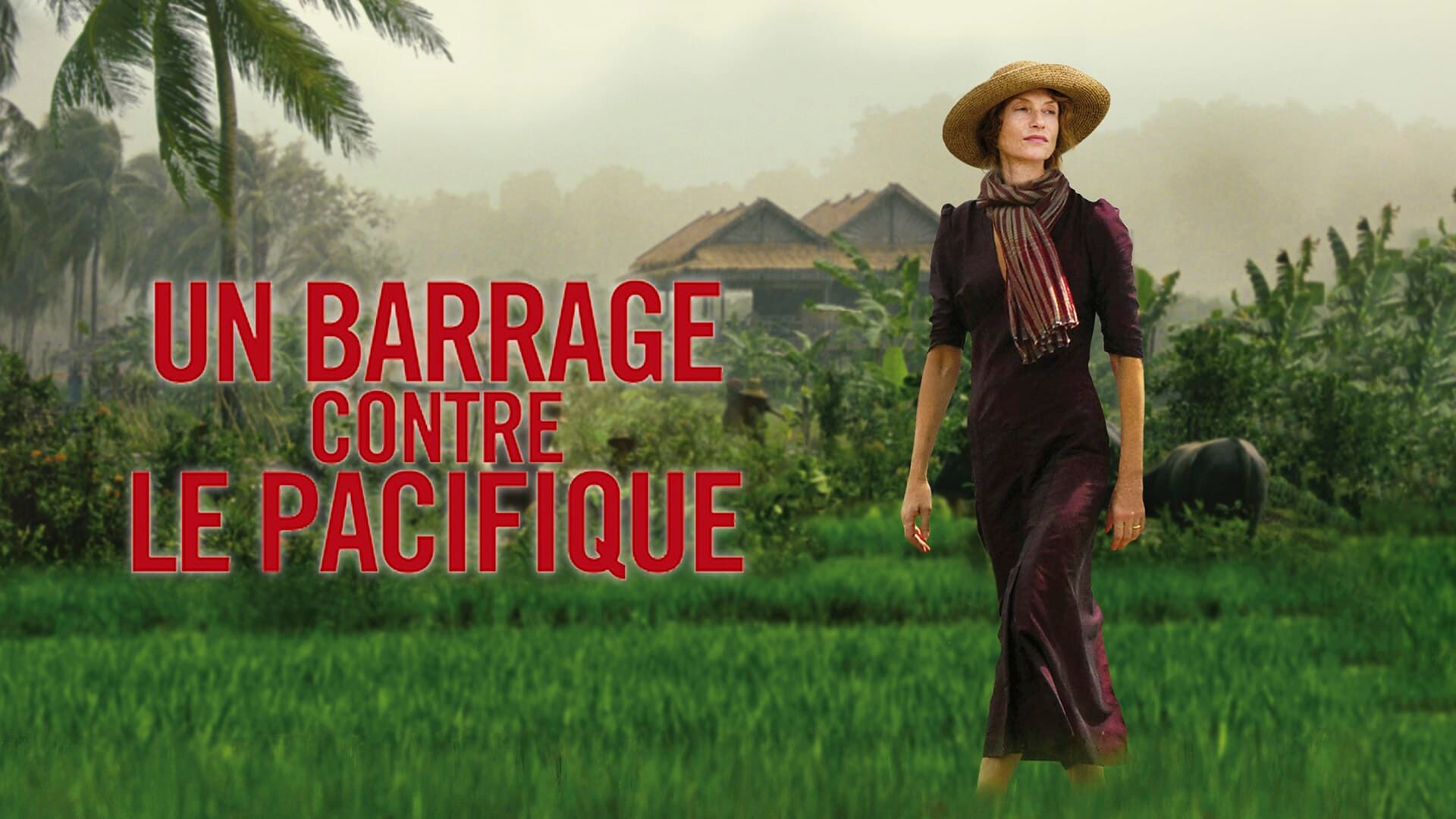 Un barrage contre le Pacifique