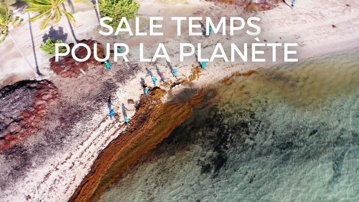Martinique, l'envers du paradis