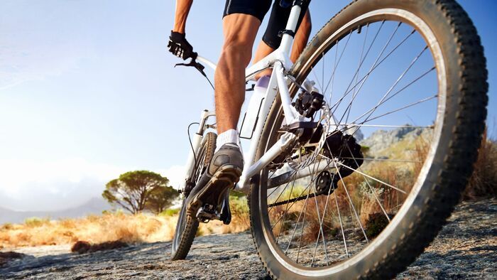 VTT : Entre deux courses