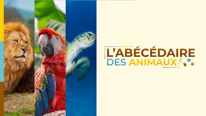 L'abécédaire des animaux