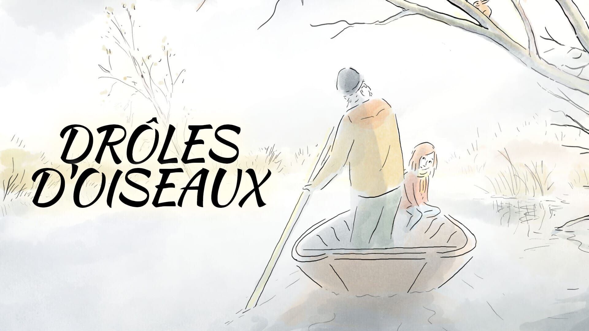 Drôles d'oiseaux