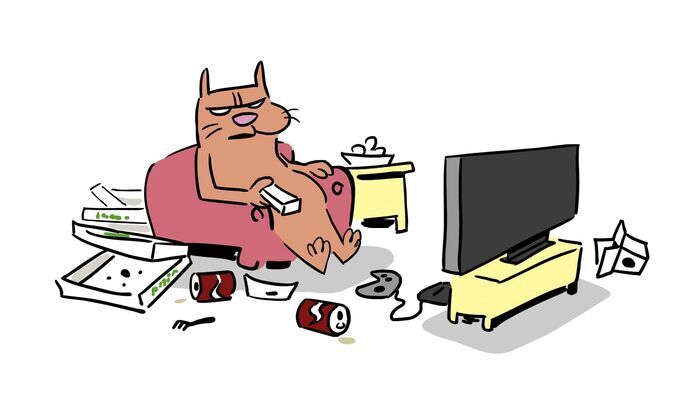 La pollution cachée des animaux de compagnie