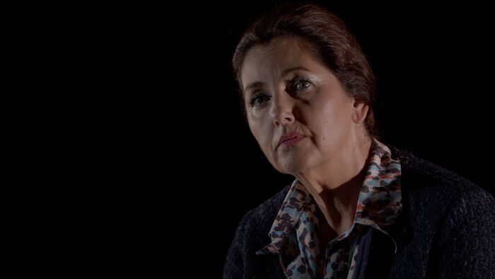 Simone Veil - Les combats d'une effrontée