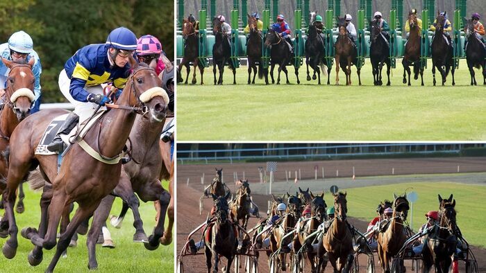 Réunion de Cabourg (trot)