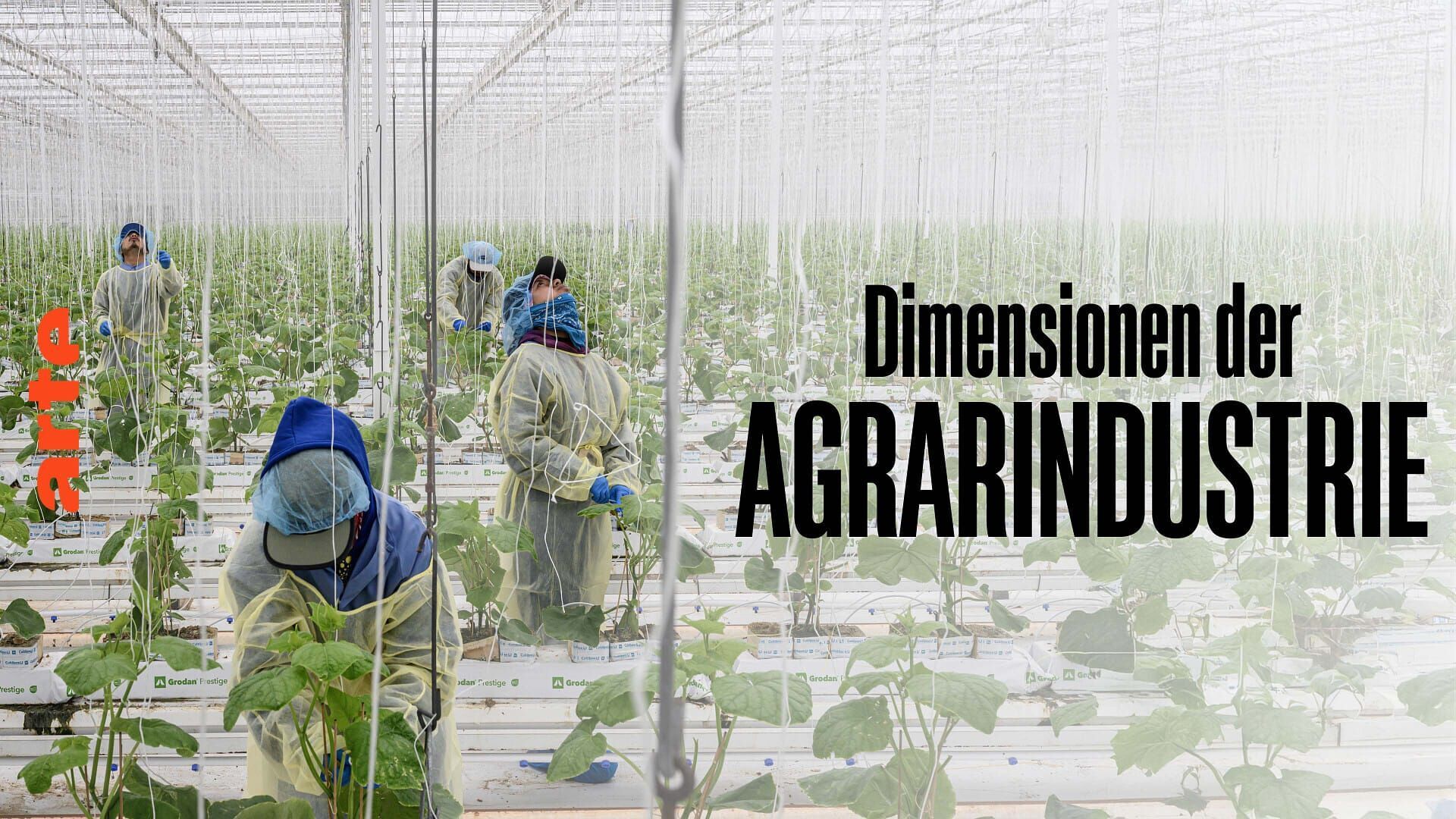 Food for Thought - The Hidden Realities of Farming