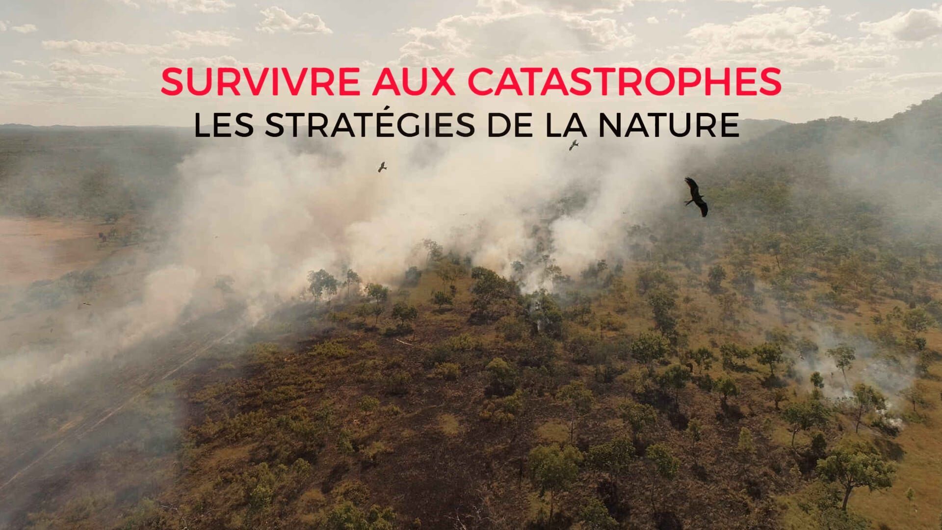Survivre aux catastrophes : les stratégies de la nature