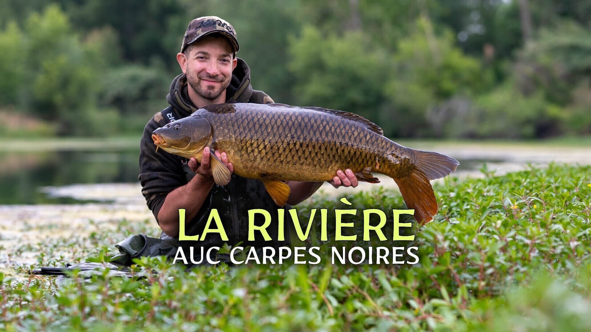 La rivière auc carpes noires