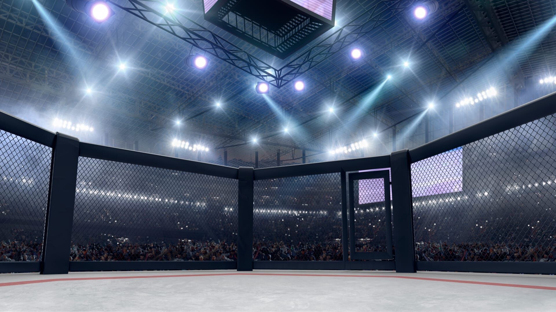 L'année MMA 2025