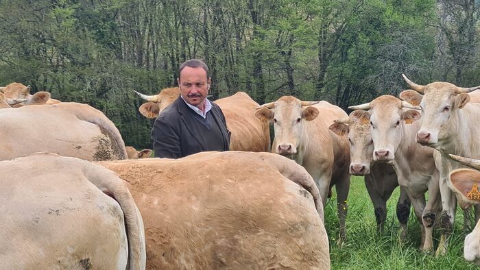 Dans les Landes