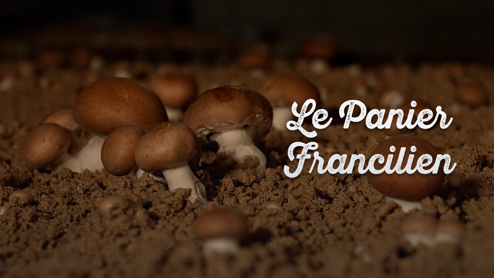 Les champignons de Paris