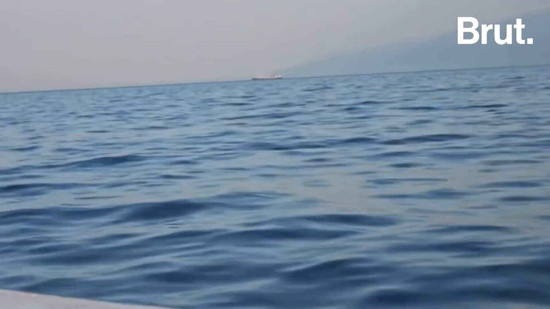 Que cache le "cargo de l'horreur" ?