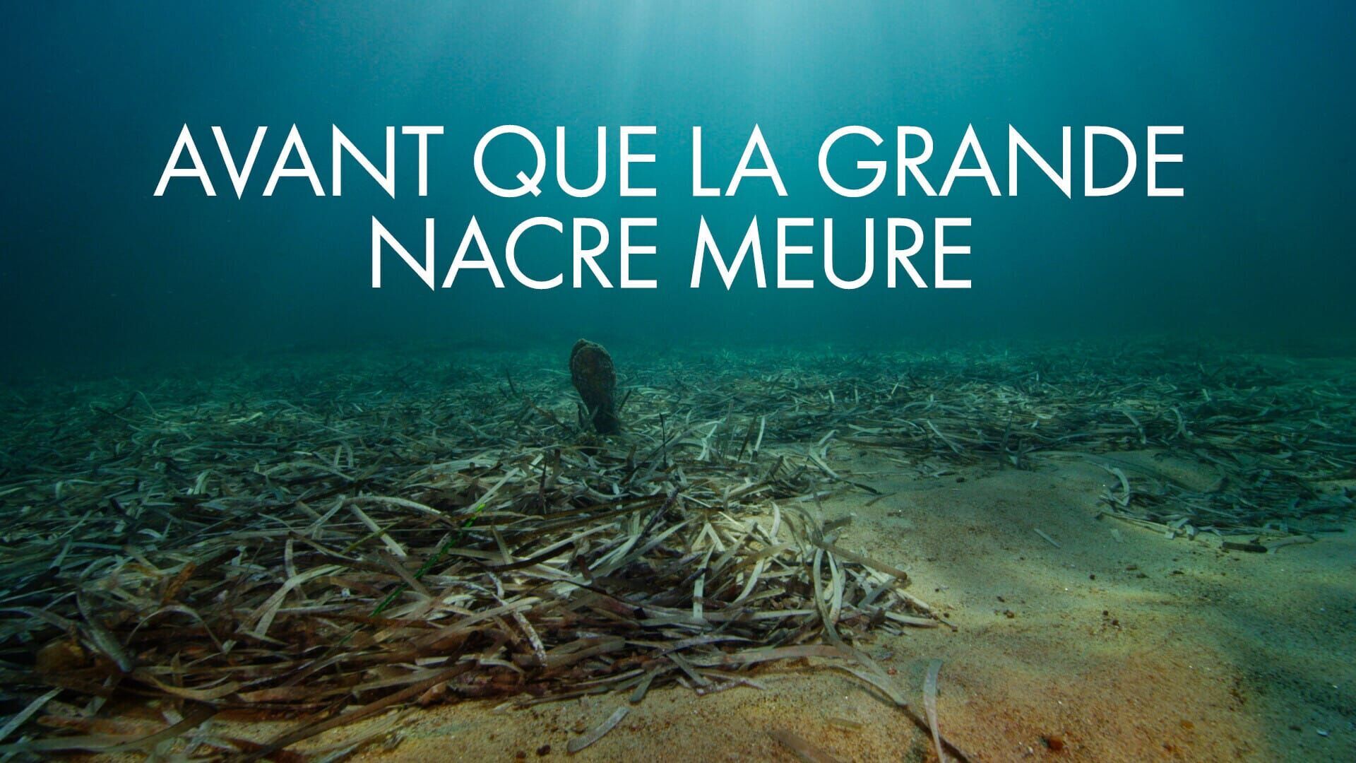 Avant que la grande nacre meure