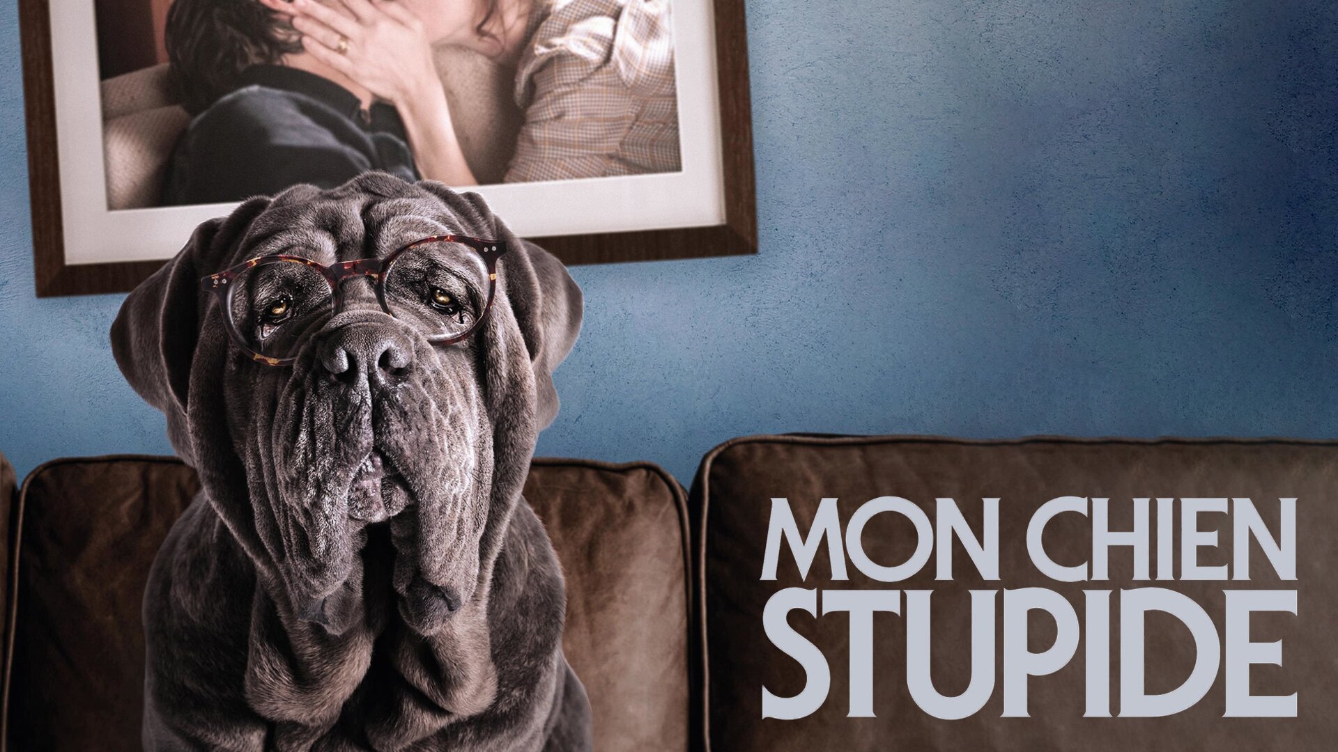 Mon chien Stupide
