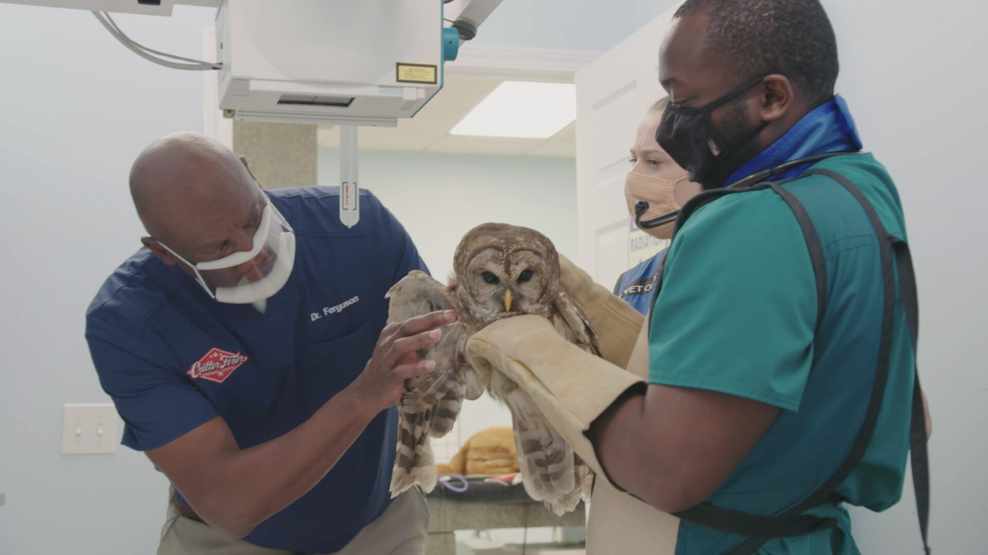 Il ne reste qu'à prier