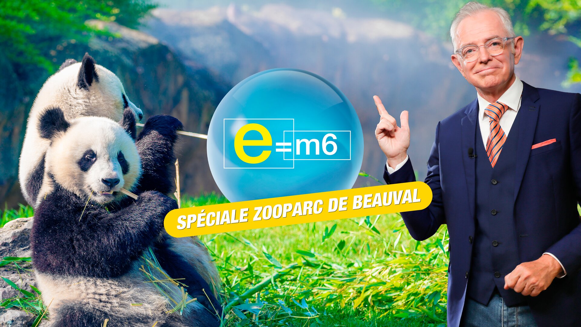 Beauval : les secrets scientifiques du plus grand zooparc de France