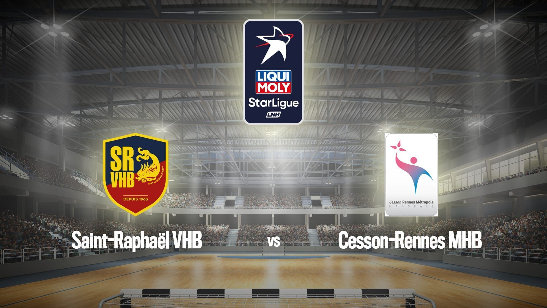 Handball : Liqui Moly StarLigue