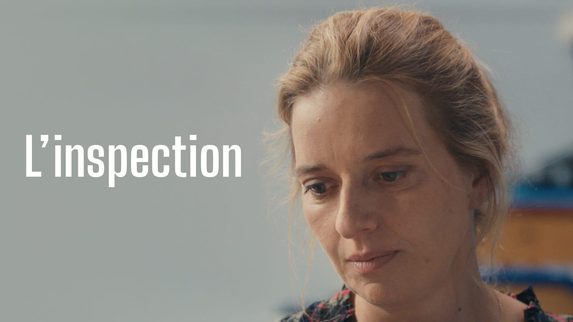 L'inspection