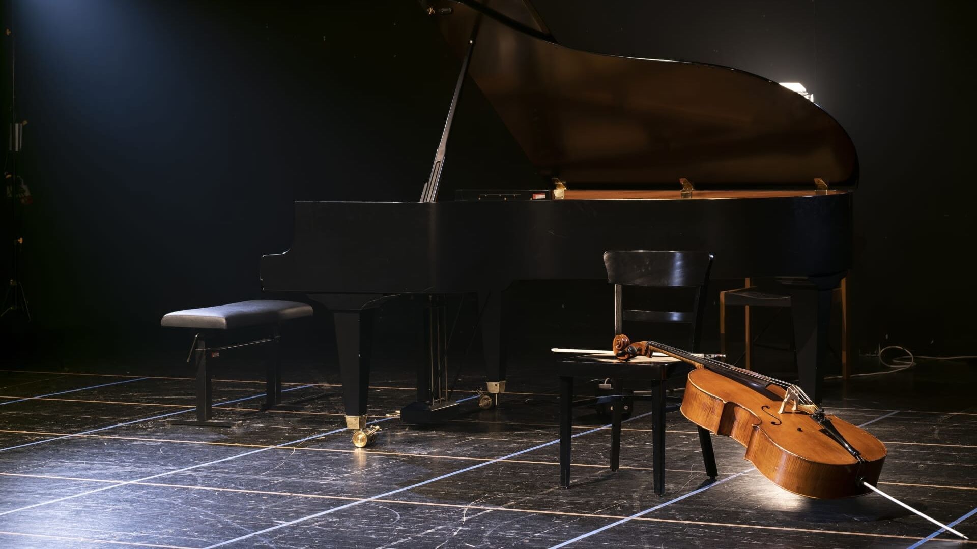 Brahms : Trio pour clarinette, piano et violoncelle Wenzel Fuchs, Elena Bashkirova, Dietmar Schwalke