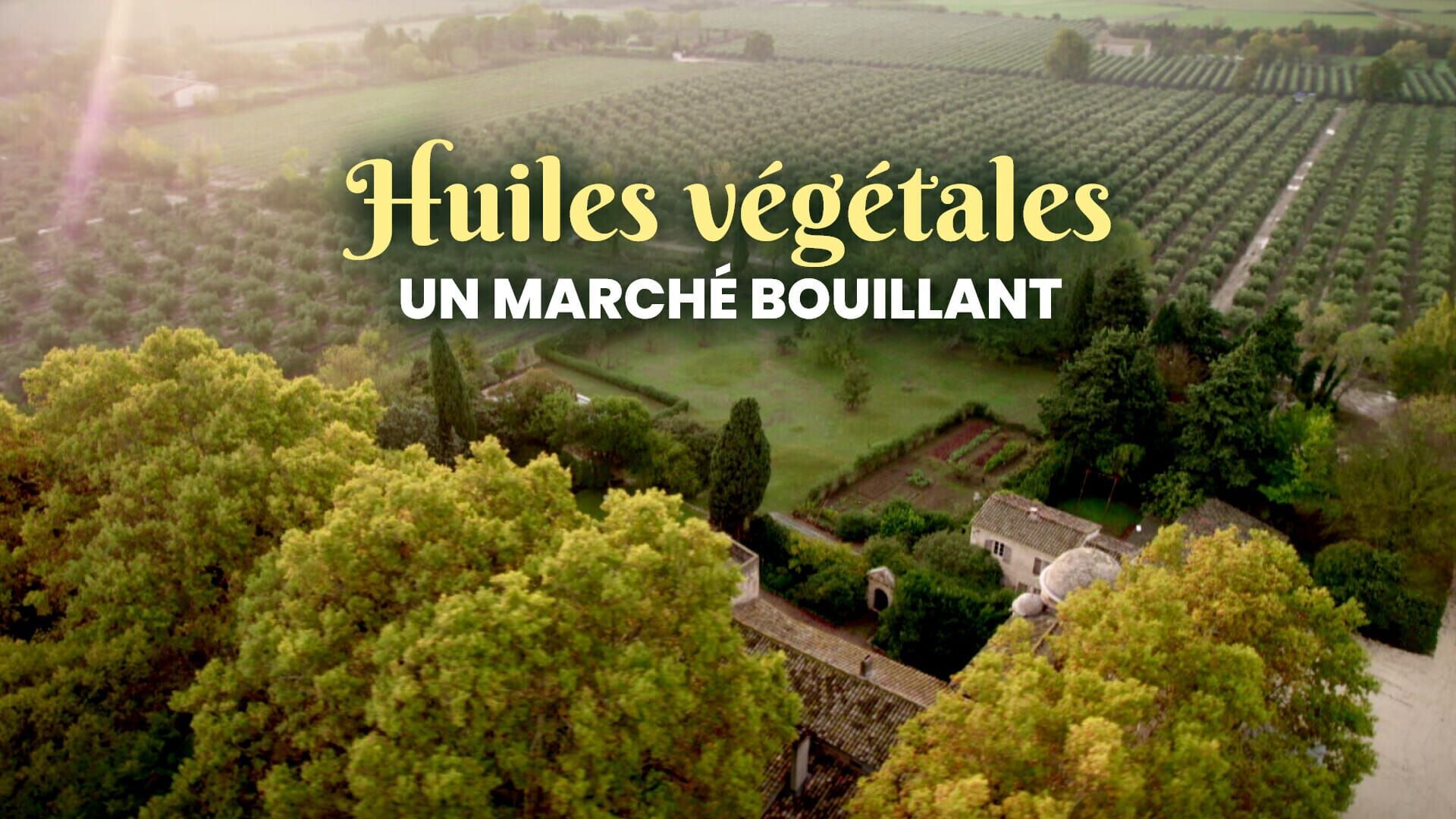 Huiles végétales : un marché bouillant