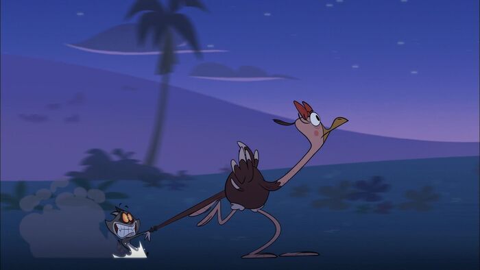 Drôles d'oiseaux
