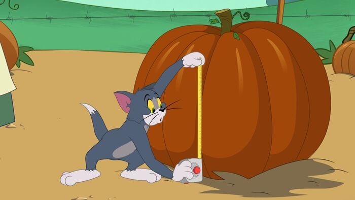Le concours de citrouilles