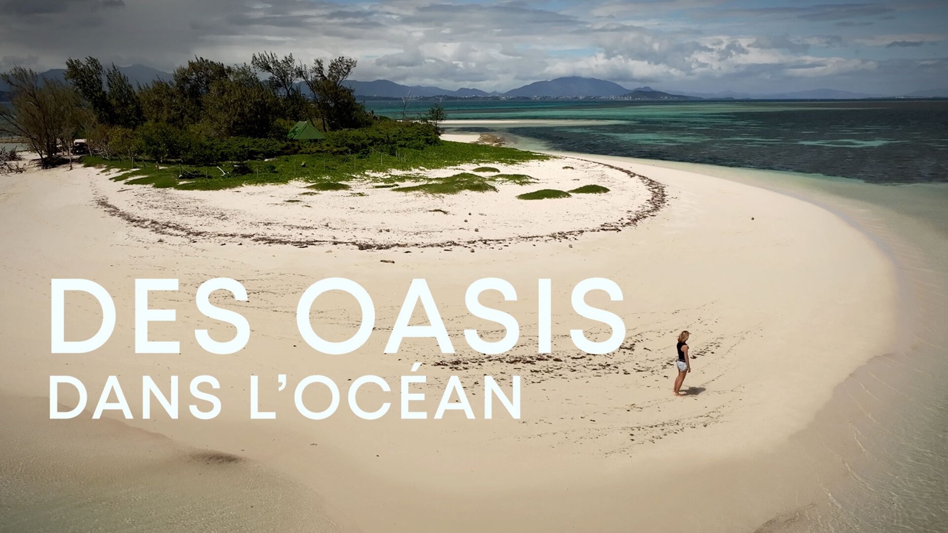 Des oasis dans l'océan