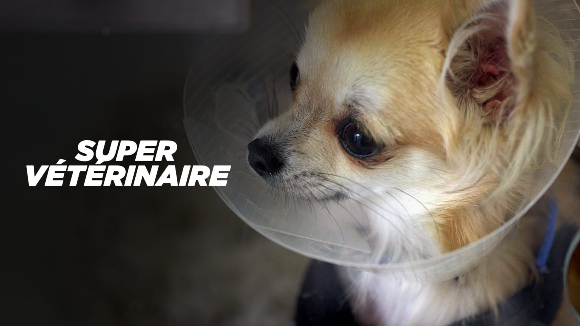 Noël à la clinique