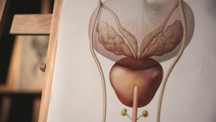 Cancer de la prostate, un mal pour le mâle ?
