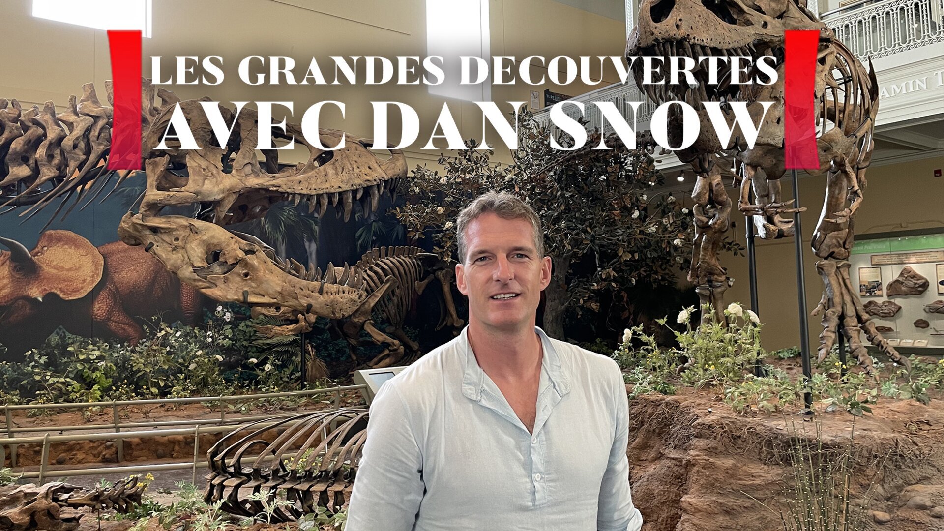 La vallée des dinosaures