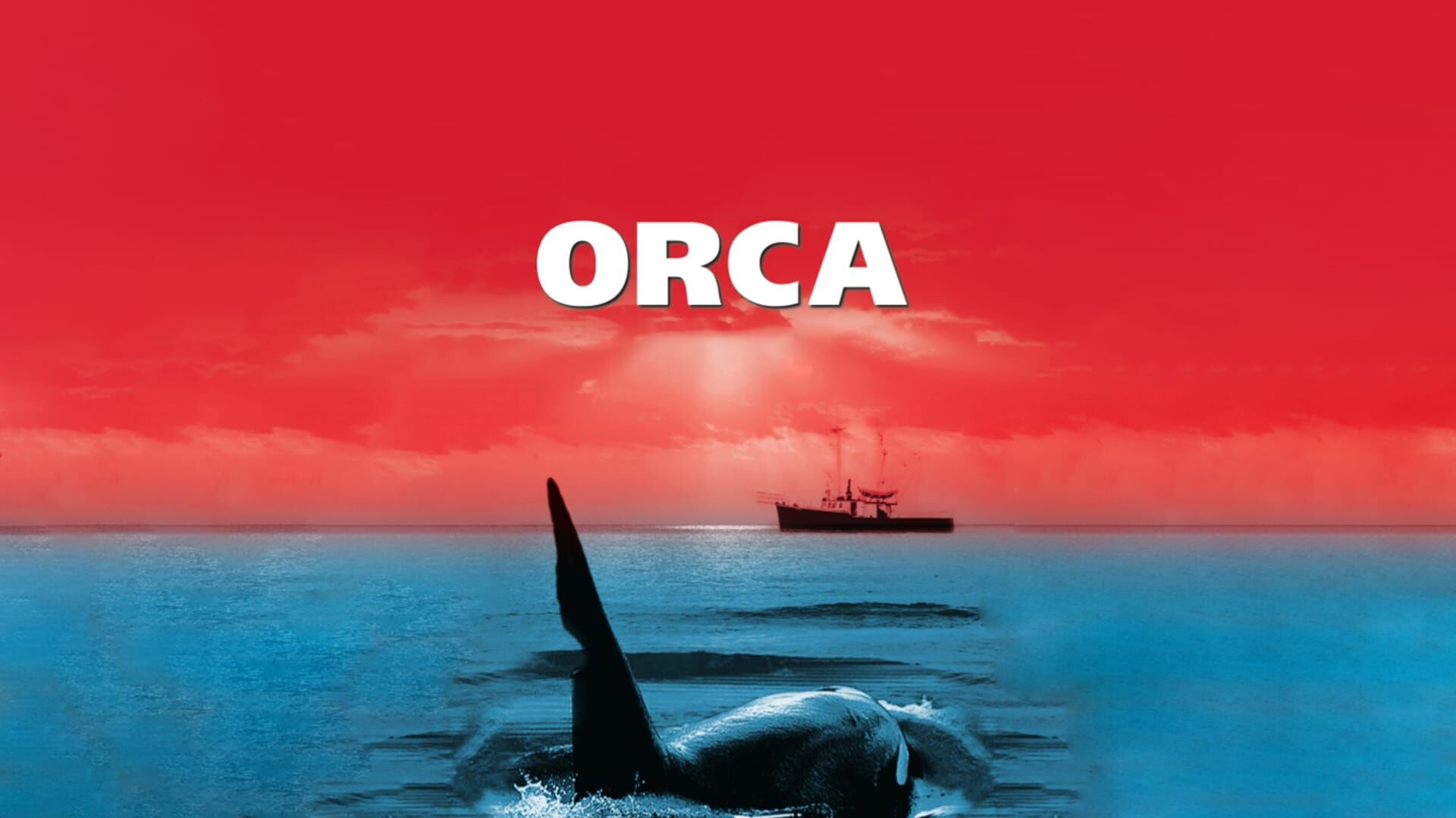 Orca