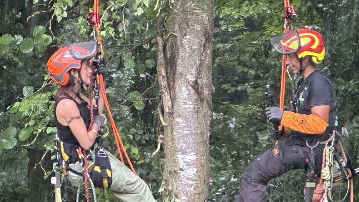 Marlis, élagueuse grimpeuse en Wallonie