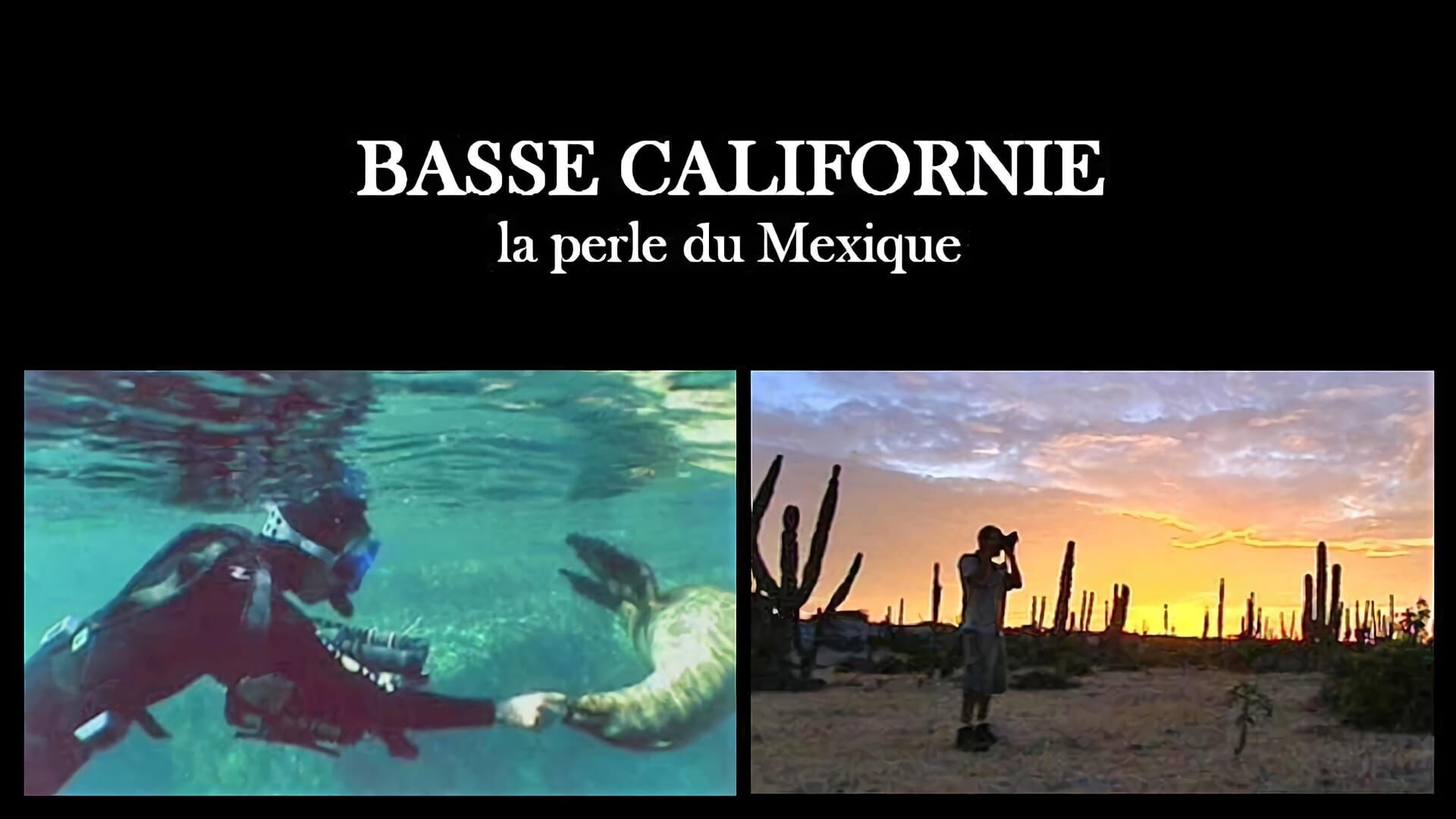 Basse Californie : la perle du Mexique