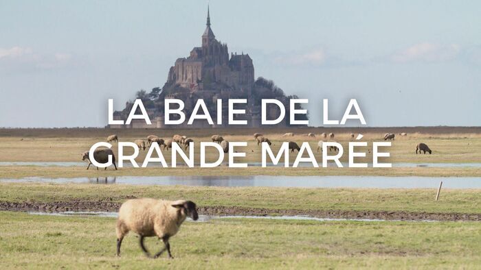 La baie de la grande marée