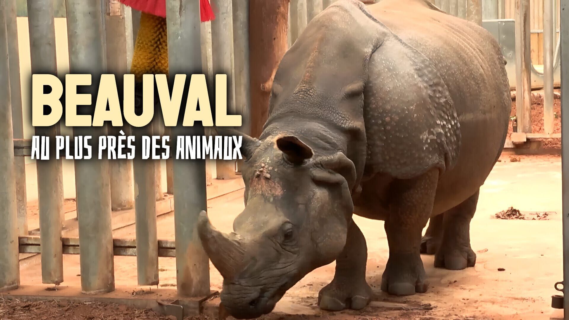 Naissances exceptionnelles