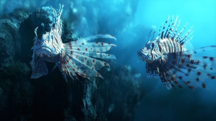 Le poisson lion